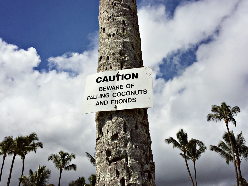 Eestlase jaoks on siin palju naljakaid silte :) Küll hoiatatakse pähekukkuvate kookospähklite eest, küll hammustavate kilpkonnade eest